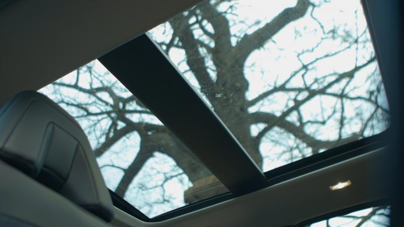 3733821 178kW Advance 87kWh 22kWCh 5dr Auto [Sky Pack]