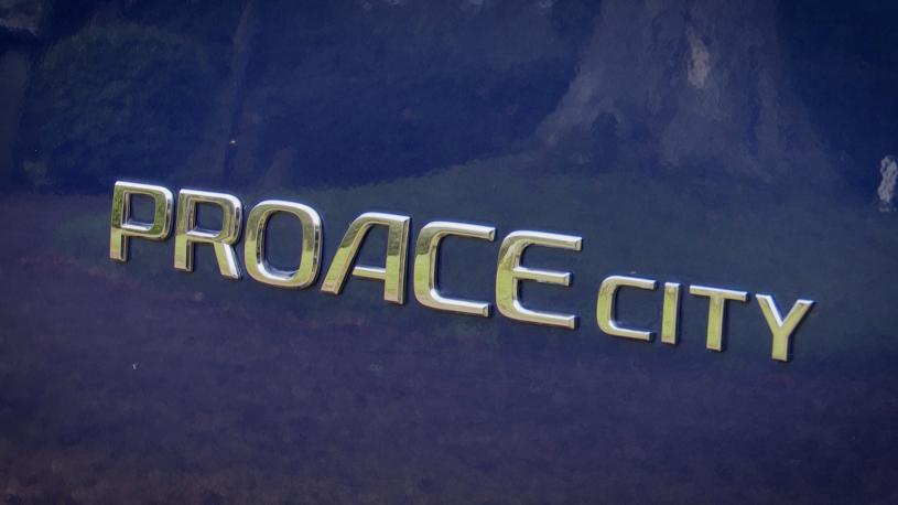 3979039 100kW Shuttle Long 50kWh 5dr Auto