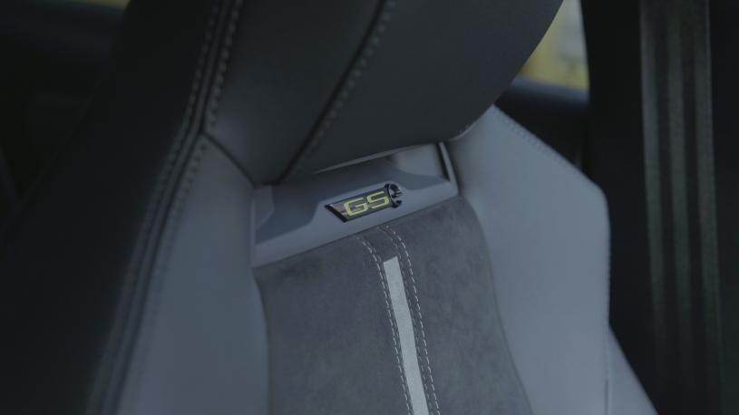 3979070 1.6 Plug-in Hybrid GSe 5dr Auto [Pan roof]