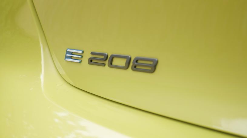 3959023 100kW GT Premium 50kWh 5dr Auto